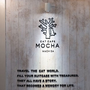 mocha 町田店