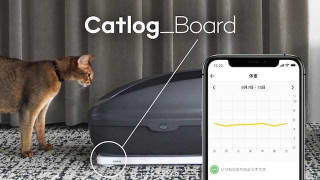 catlog board