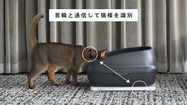 Catlog board キャットログ ボード-