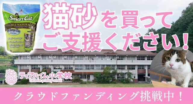 ティアハイム小学校