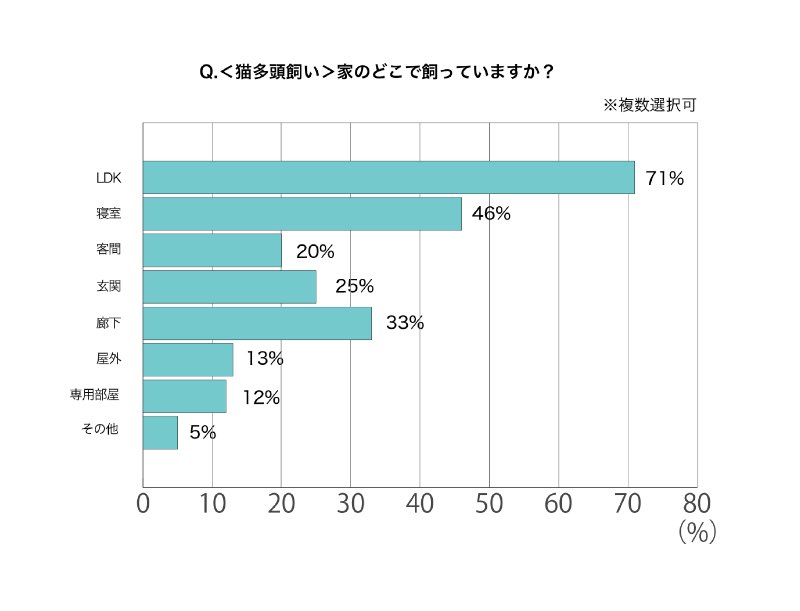 猫の多頭飼い　家のどこで飼っているか？