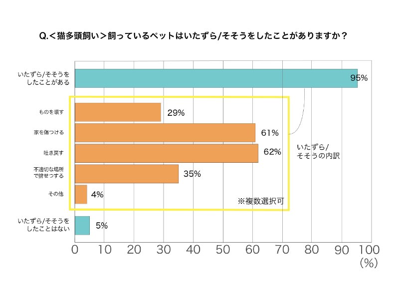 多頭飼い世話をする上で苦労する点