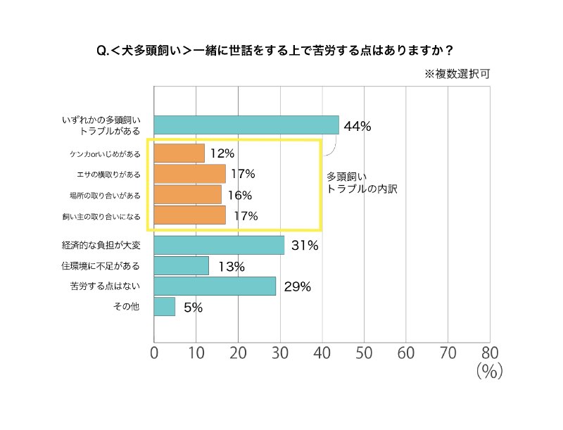 犬多頭飼い　苦労する点